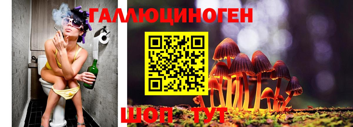 цена наркотик  Вход с VPN  Лыткарино  Псилоцибиновые грибы Psilocybine cubensis 